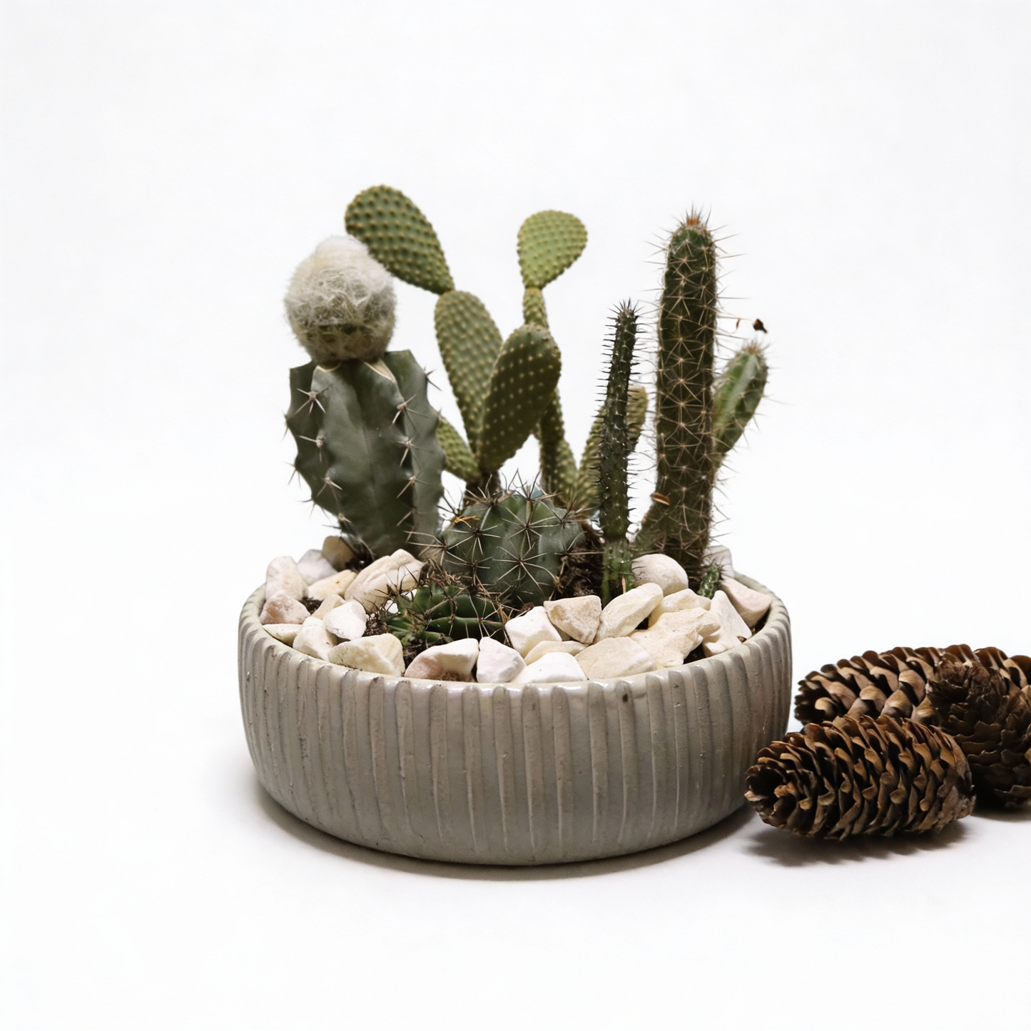 Christmas Bundle Decorations 1