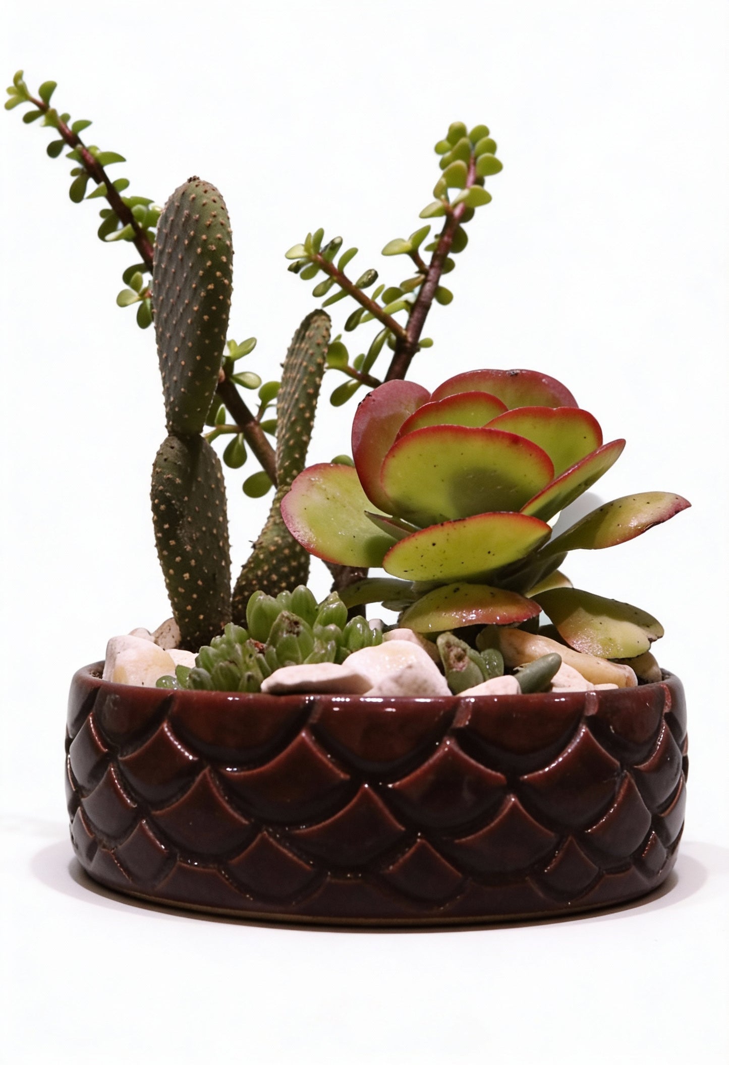 Christmas Bundle Decorations 6